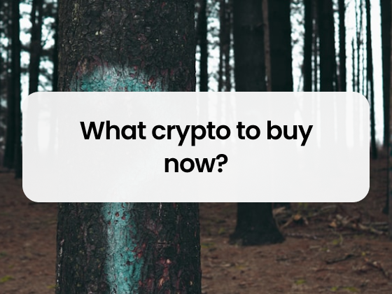 What crypto to buy now?